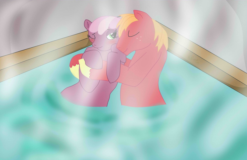 2016 big_macintosh_(mlp) cheerilee_(mlp) duo embrace equid equine eyes_closed female feral freckles freckles_on_face friendship_is_magic hasbro horse hot_tub hug jimfoxx looking_at_another male male/female mammal mane mouth_closed my_little_pony one_eye_closed partially_submerged pony red_body smile steam