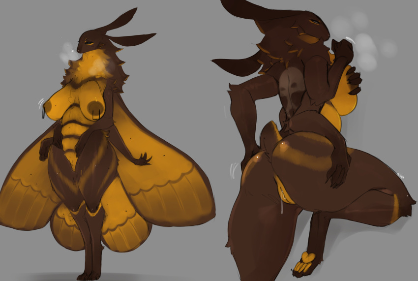 2022 4_arms absurd_res anthro arthropod big_butt biped bodily_fluids breasts breath brown_body brown_fur brown_nipples butt death's-head_hawkmoth digital_media_(artwork) digitigrade female fur genital_fluids genitals grey_background grey_eyes hand_on_breast hand_on_butt hawk_moth hi_res insect insect_wings lepidopteran lvlirror moth multi_arm multi_limb nipples pawpads presenting presenting_hindquarters pussy pussy_juice simple_background solo standing wide_hips wings yellow_body yellow_fur yellow_pawpads