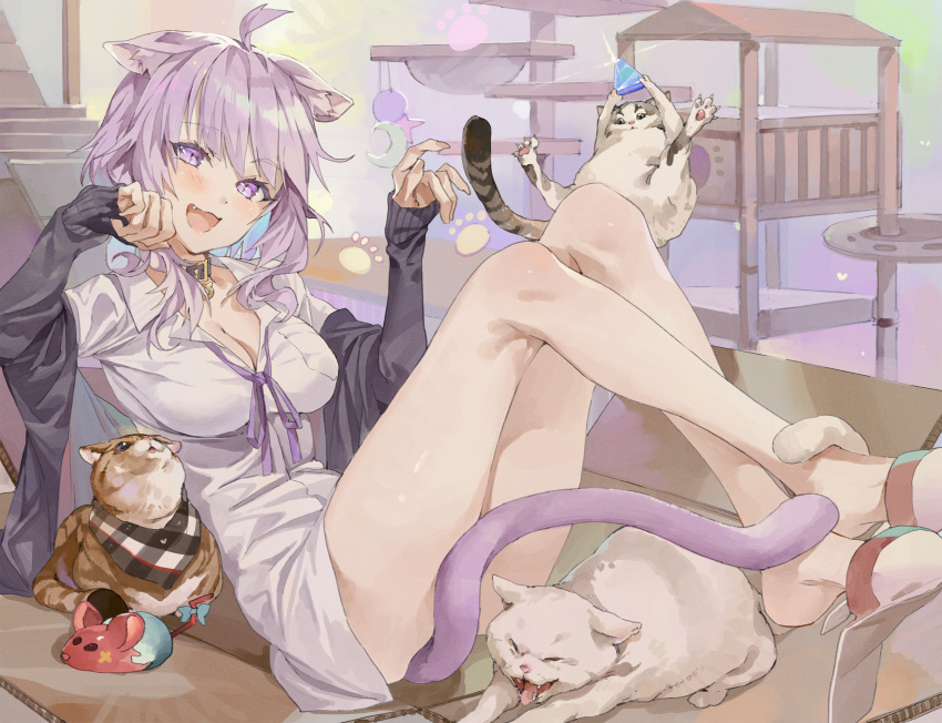 1girl :d absurdres ahoge animal_ears bangs bare_legs black_jacket blue_hair blush box breasts cardboard_box cat cat_ears cat_tail cleavage colored_inner_hair fang full_body highres hololive hxxg indoors jacket knees_up long_sleeves looking_at_viewer medium_breasts mr._squeaks_(hakos_baelz) multicolored_hair nekomata_okayu off_shoulder open_clothes open_jacket open_mouth purple_eyes purple_hair shirt sleeves_past_wrists slippers smile solo tail tail_censor virtual_youtuber white_shirt