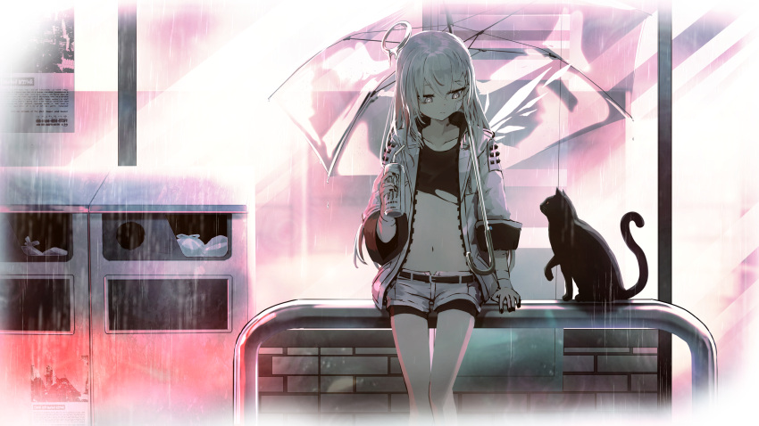1girl bangs building can cat crop_top drinking_straw energy_drink grey_eyes halo highres holding holding_can jacket monster_energy namako_(namacotan) open_clothes open_jacket original outdoors rain shorts sitting soda_can solo umbrella