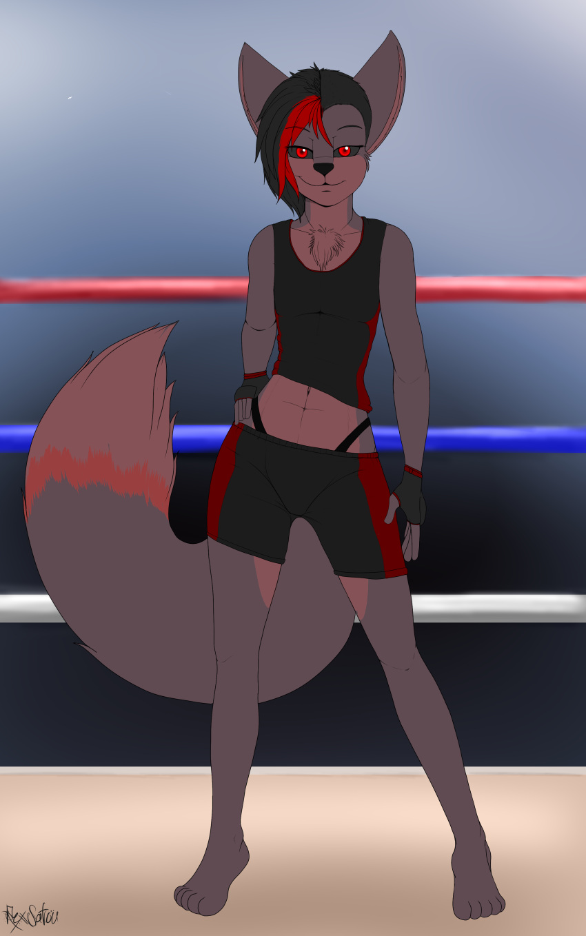 2021 5_toes absurd_res aged_up anthro barefoot black_hair black_nose bottomwear breasts canid canine chest_tuft clothed clothing demon detailed_background dipstick_tail feet female fighting_ring fingerless_gloves fluffy fluffy_tail fox front_view full-length_portrait fully_clothed gloves gym_bottomwear gym_clothing gym_shorts hair half-closed_eyes hand_on_hip handwear hi_res highlights_(coloring) holding_hip kamora looking_at_viewer mammal markings midriff narrowed_eyes navel panties plantigrade portrait pose raised_clothing raised_shirt raised_topwear red_eyes red_highlights rexsatou shirt shorts small_breasts smile smirk solo standing tail_markings toes topwear tuft underwear whale_tail