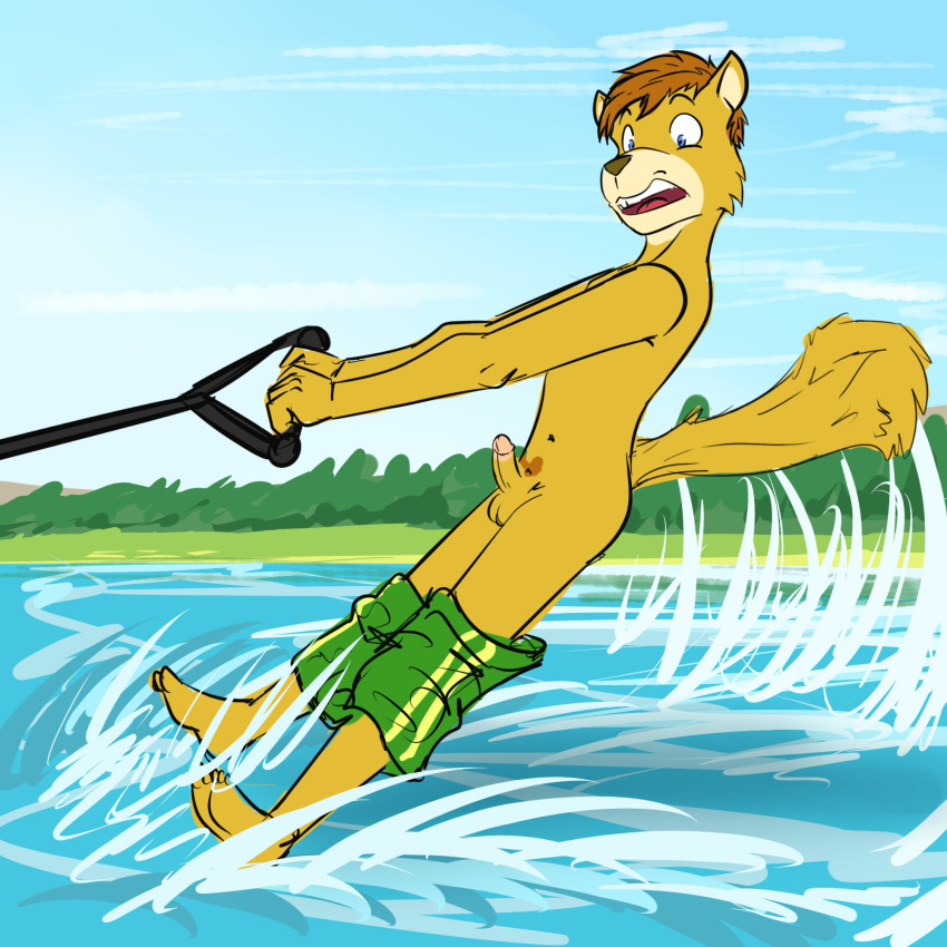 accidental_exposure anthro balls bottomwear bottomwear_down circumcised clothed clothing felix_(fuze) fuze genitals hi_res humanoid_genitalia humanoid_penis male mammal navel partially_clothed penis pubes rodent sciurid shocked_expression solo swimming_trunks swimming_trunks_down swimwear topless tree_squirrel wardrobe_malfunction water water_skiing