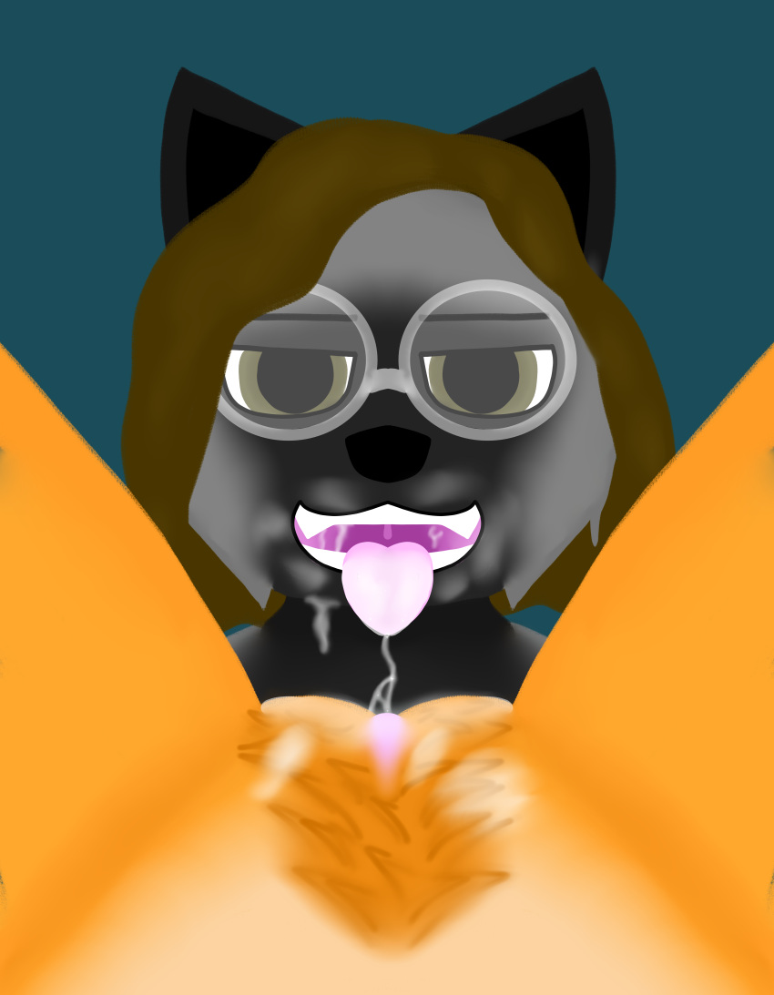 absurd_res ambiguous_gender anthro black_body black_fur bodily_fluids brown_hair canid canine cunnilingus duo eyewear female first_person_view fox foxwithdyedhair fur genital_fluids genitals glasses grey_body grey_fur hair hi_res intersex intersex/female male mammal open_mouth oral orange_body orange_fur pubes pussy pussy_juice red_fox sex silver_fox teeth tongue tongue_out vaginal