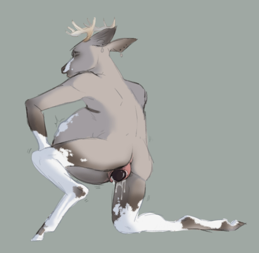 amniotic_fluid andromorph anthro antlers aspen_(wapiti) birth bodily_fluids brown_body brown_fur cervid crowning fur genital_fluids hand_on_leg hand_on_thigh horn intersex kneeling mammal pregnant solo vaginal_birth wapiti_(artist) white_body white_fur