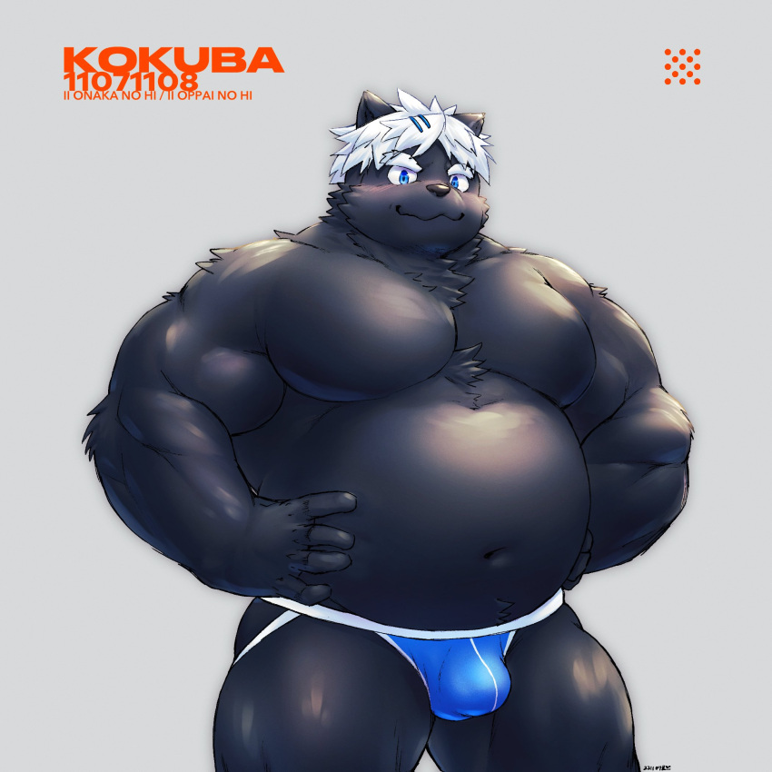 2022 anthro belly black_body blush bulge canid canine clothing hair hi_res kemono kokuba_hoeguro male mammal musclegut navel overweight overweight_male rotsw solo underwear virtual_youtuber white_hair