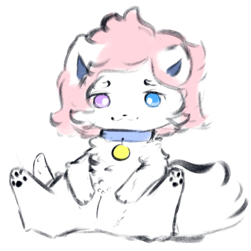 arctic_fox blue_eyes blue_sclera canid canine collar feet female feral fox fur genitals heterochromia hi_res looking_at_viewer mammal name_tag nude outline paws pink_eyes pink_sclera pussy sarah_(snoiifoxxo) snoiifoxxo spread_legs spreading white_body white_fur