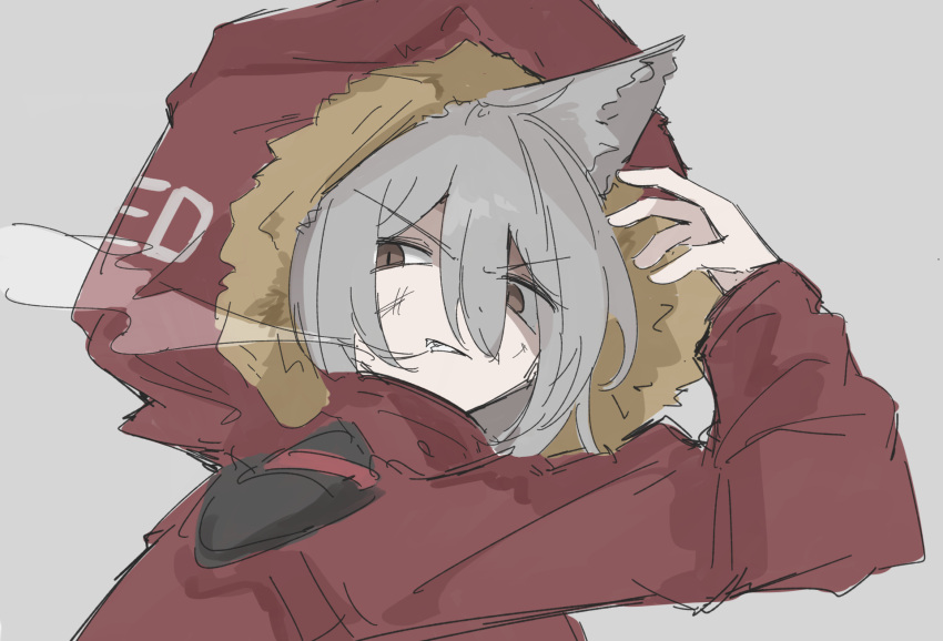 1girl animal_ears arknights brown_eyes enunomiya fur-trimmed_hood fur_trim grey_background grey_hair hair_between_eyes hand_up highres hood hood_up hooded_jacket jacket long_sleeves looking_at_viewer projekt_red_(arknights) red_jacket simple_background sketch solo upper_body v-shaped_eyebrows wolf_ears wolf_girl