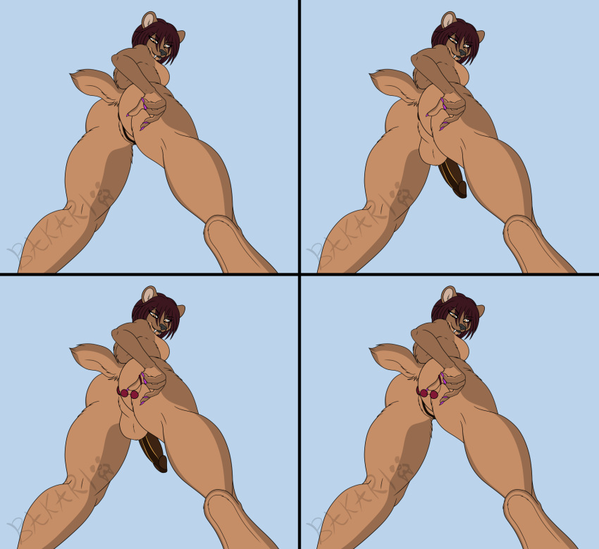 anal anal_beads anal_beads_in_ass anal_penetration anthro anus big_chief_bakari_(artist) black_nose brown_body brown_fur brown_hair erection fangs felid female four_frame_image fur genitals gynomorph hair hi_res intersex looking_at_viewer looking_down looking_down_at_viewer low-angle_view mammal nude object_in_ass penetration penis pussy raised_tail saber-toothed_tiger sabertooth_(anatomy) sex_toy sex_toy_in_ass sex_toy_insertion smile smiling_at_viewer solo tail teeth thick_thighs topaz_kuumbu_(big_chief_bakari) underside_view worm's-eye_view