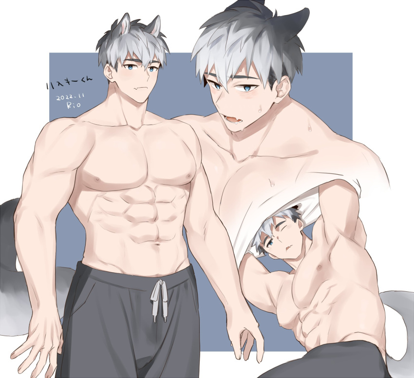 1boy abs animal_ears bara bare_pectorals blue_eyes closed_mouth dog_boy dog_ears dog_tail grey_hair grey_pants highres large_pectorals male_focus multicolored_hair multiple_views muscular muscular_male navel nipples open_mouth original pants pectorals rio_mukiniki shirt short_hair solo tail topless_male two-tone_hair undressing white_shirt