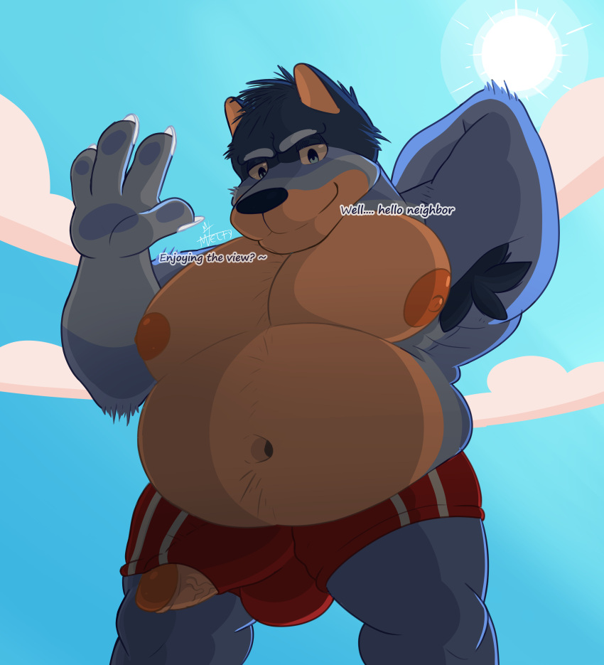 absurd_res animal_humanoid anthro armpit_hair aroused bandit_heeler belly blue_body blue_eyes blue_fur blue_nose bluey_(series) body_hair bottomwear canid canid_humanoid canine canine_humanoid canis clothed clothing cloud damelty dog_humanoid domestic_dog erection erection_under_clothing front_view fur greeting hi_res huge_pecs humanoid light looking_at_viewer love_handles low-angle_view male male/male mammal mammal_humanoid musclegut muscular navel nipples overweight overweight_anthro overweight_male pink_nipples shorts smile solo sunlight thick_thighs