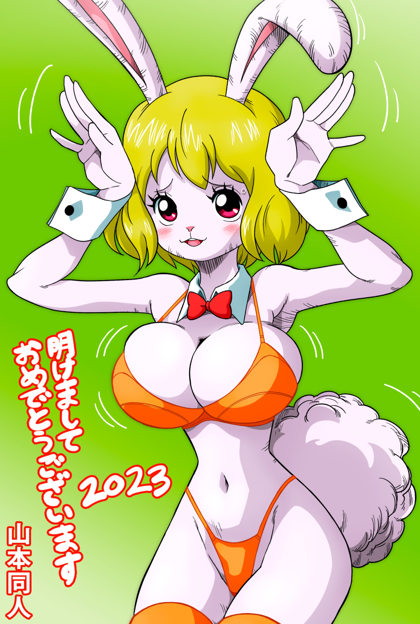 absurd_res anthro big_tail bikini blush blush_lines bodily_fluids breasts carrot_(one_piece) cleavage cleavage_overflow clothed clothing cotton_tail cuffs_(clothing) eyelashes female fur green_background hi_res japanese_text lagomorph leporid looking_at_viewer mammal minkmen_(one_piece) navel one_piece open_mouth orange_bikini orange_clothing orange_swimwear pink_eyes rabbit raised_arms red_bow_tie simple_background small_waist solo sweat sweatdrop swimwear tail text thick_thighs white_body white_fur wide_hips yamamoto_doujin