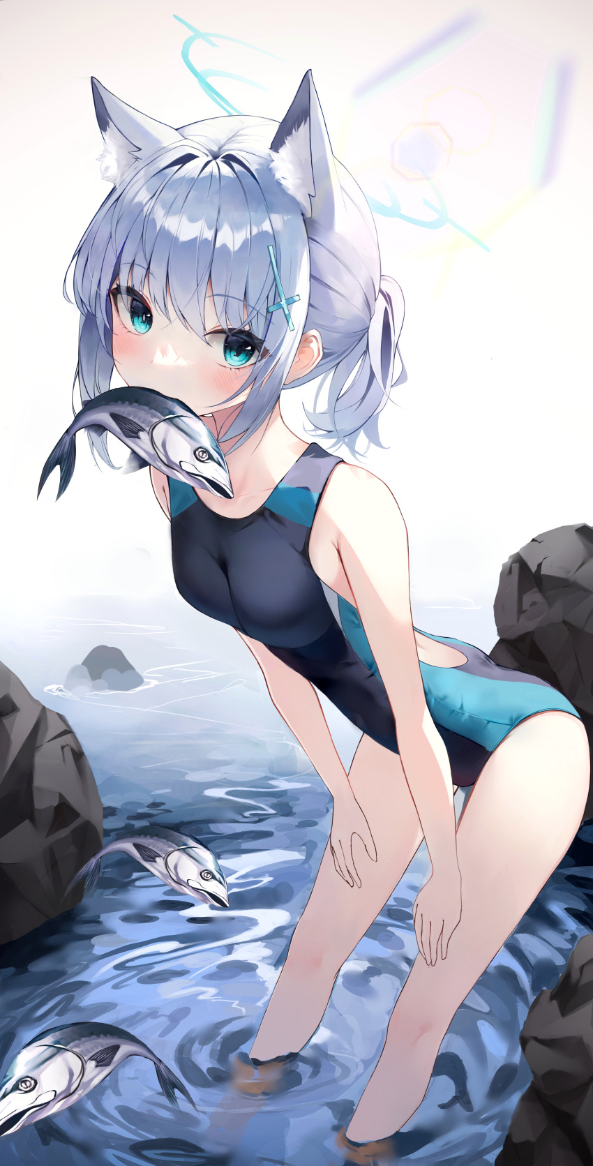 absurdres animal_ear_fluff animal_ears black_one-piece_swimsuit blue_archive blue_eyes breasts competition_swimsuit covered_navel cross_hair_ornament cyr7629 extra_ears fish grey_hair hair_ornament halo hands_on_own_thighs highres low_ponytail medium_breasts medium_hair mismatched_pupils mouth_hold multicolored_clothes multicolored_swimsuit official_alternate_costume one-piece_swimsuit rock shiroko_(blue_archive) shiroko_(swimsuit)_(blue_archive) simple_background swimsuit white_background wolf_ears