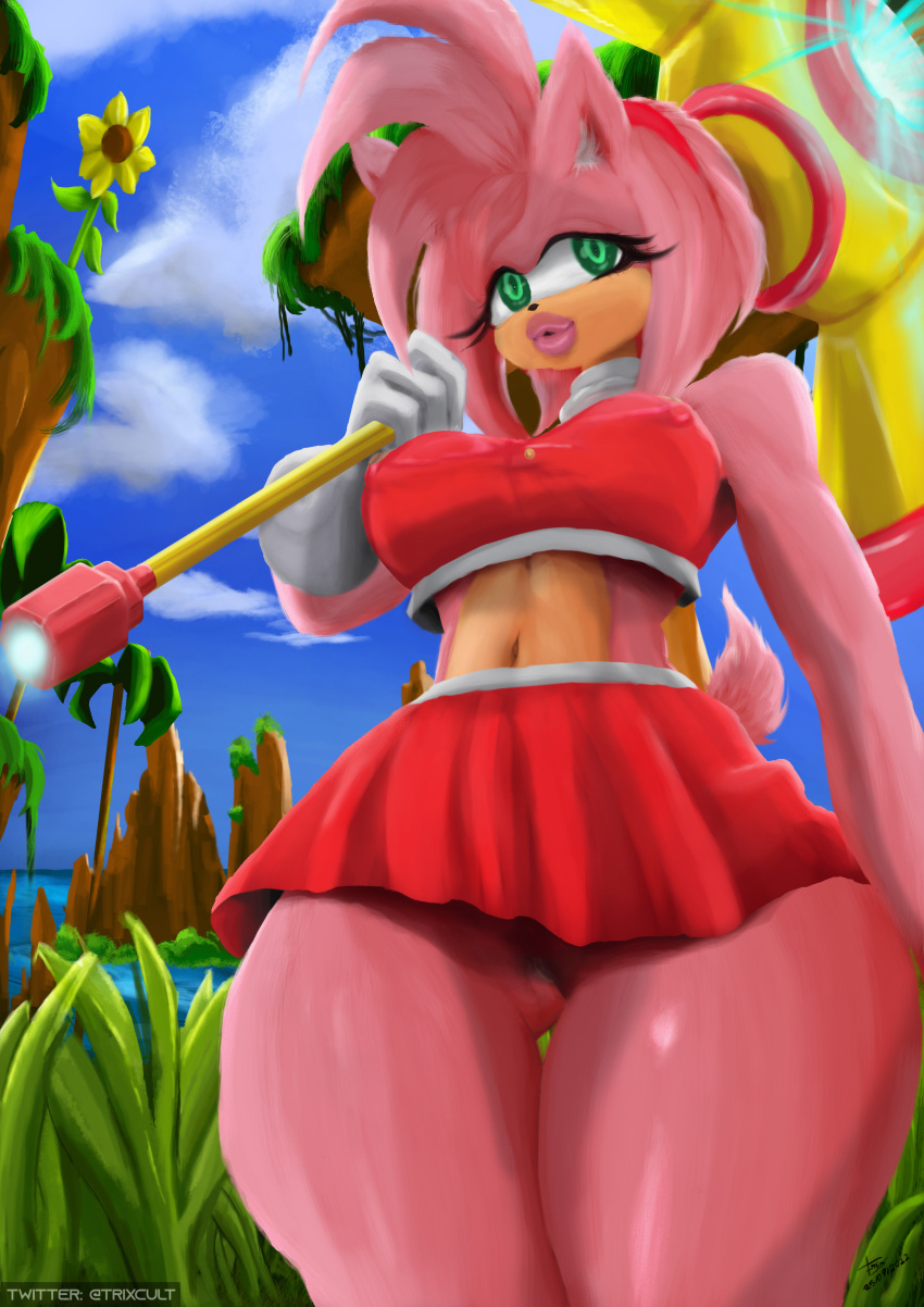 absurd_res amy_rose andromorph anthro bimbo_lip bimbofication curvy_figure female hi_res huge_hips intersex sega solo sonic_the_hedgehog sonic_the_hedgehog_(series) trixcult trixpayares wide_hips