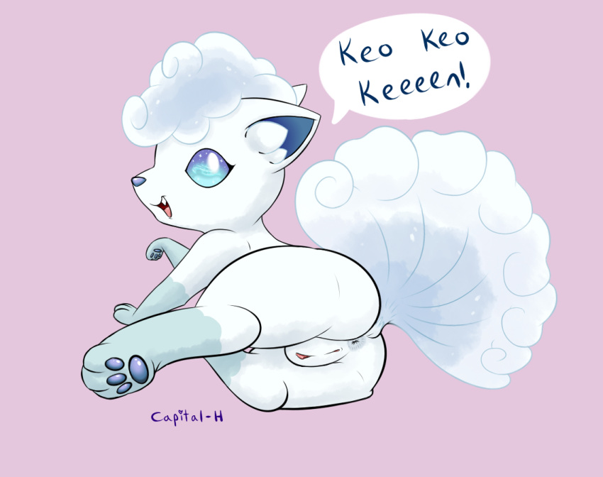 alolan_form alolan_vulpix anus blue_eyes butt capital-h english_text female feral genitals looking_at_viewer nintendo pokemon pokemon_(species) pussy raised_tail regional_form_(pokemon) simple_background solo text video_games white_body
