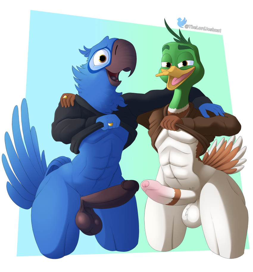 abs absurd_res anas anatid anseriform anthro avian balls beak big_balls big_penis bird black_penis blu_(rio) blue_body blue_feathers blue_sky_studios bottomless brown_body brown_eyes brown_feathers clothed clothing clothing_lift dabbling_duck daddy_kink digit_ring duck duo embarrassed erection feathers genitals green_body green_feathers hi_res hoodie hoodie_only illumination_entertainment jewelry leaning_on_self looking_at_viewer looking_pleasured macaw mack_mallard_(migration) male male/male mallard mature_male migration_(movie) mostly_nude muscular muscular_anthro neotropical_parrot nude nude_anthro parrot partially_clothed pecs penis ring rio_(series) shoulder_grab spix's_macaw tail tail_feathers thelordjoshua1 topwear topwear_only true_parrot white_body yellow_beak