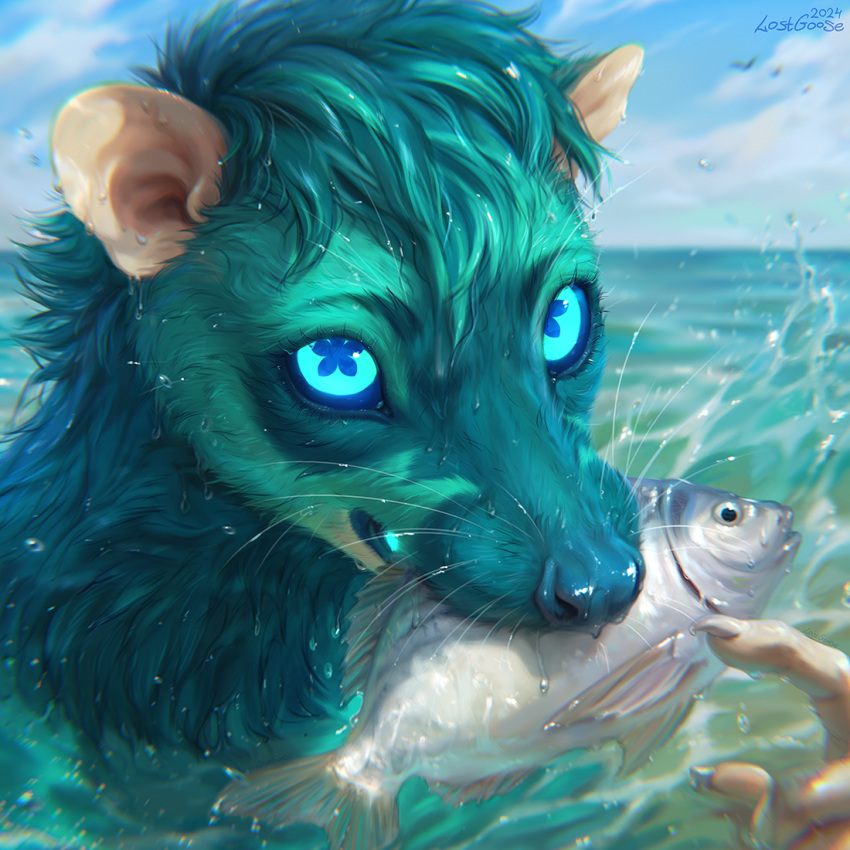 american_opossum anthro blue_eyes claws cloud female fish lostgoose mammal marine marsupial portrait sea sky solo splashing_water water water_opossum