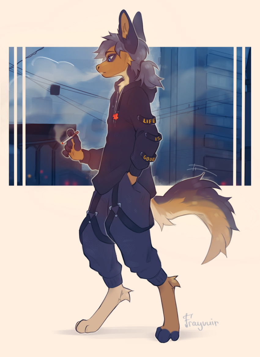 2022 5_fingers anthro blue_eyes brown_body brown_fur canid canine claws clothed clothing day detailed_background digital_media_(artwork) digitigrade eyebrows eyelashes feet fingers frayvuir fur hi_res hoodie hybrid male mammal outside sky toes topwear