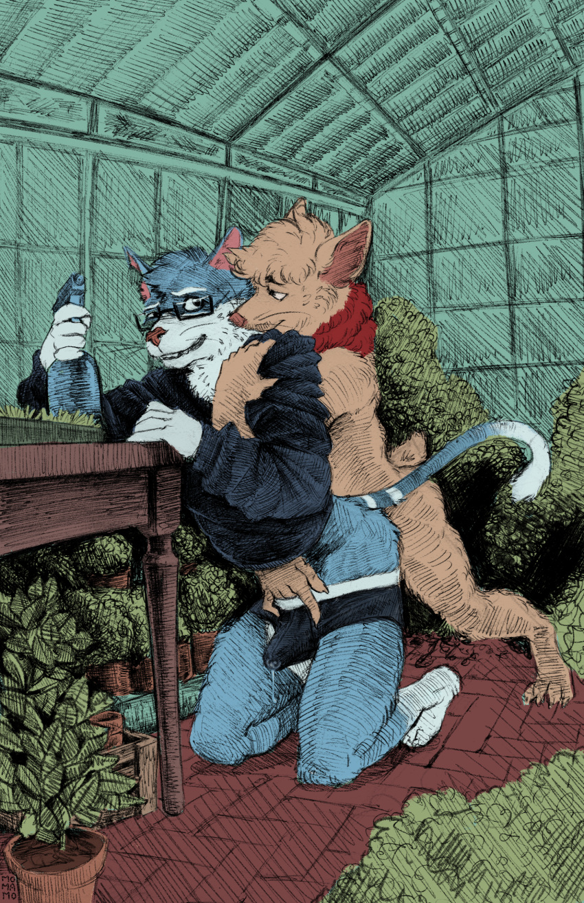 absurd_res anthro anthro_on_anthro blue_body blue_fur bodily_fluids brown_body brown_fur bulge catnip_(khatnid) clothing cum duo embrace erection eyewear fan_character felid feline from_behind_position fur genital_fluids glasses greenhouse hand_in_underwear hand_on_bulge hi_res hug hugging_from_behind league_of_legends looking_at_another looking_back male male/male mammal momamo neck_tuft nude plant precum riot_games sex smile spray_bottle sweater teemo_the_yiffer topwear tuft underwear undressing undressing_another video_games vivarium