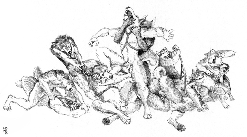 2022 animal_genitalia animal_penis anthro anthro_on_anthro balls bite butt canid canine canis curled_tail domestic_dog fight fighting_pose fur genitals group harness hi_res husky leash leash_pull leg_grab male male/male mammal momamo muscular muscular_anthro muscular_male nordic_sled_dog nude penis pinned pose sheath simple_background spitz traditional_media_(artwork) tugging_clothing