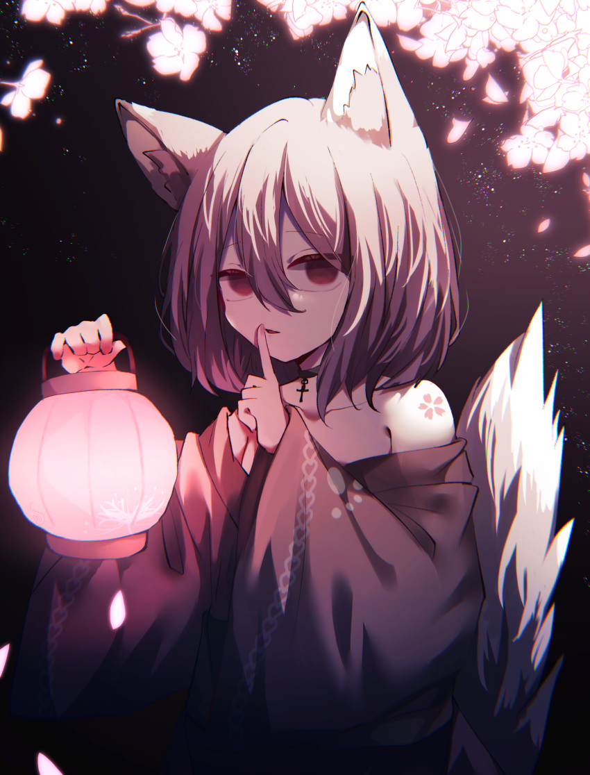 1boy absurdres animal_ears black_choker black_kimono cherry_blossoms choker cross cross_choker finger_to_mouth fox_boy fox_ears fox_tail grey_hair highres japanese_clothes kimono kitsunemiyoru lantern long_sleeves looking_at_viewer male_focus off_shoulder original otoko_no_ko red_eyes short_hair shushing tail wide_sleeves