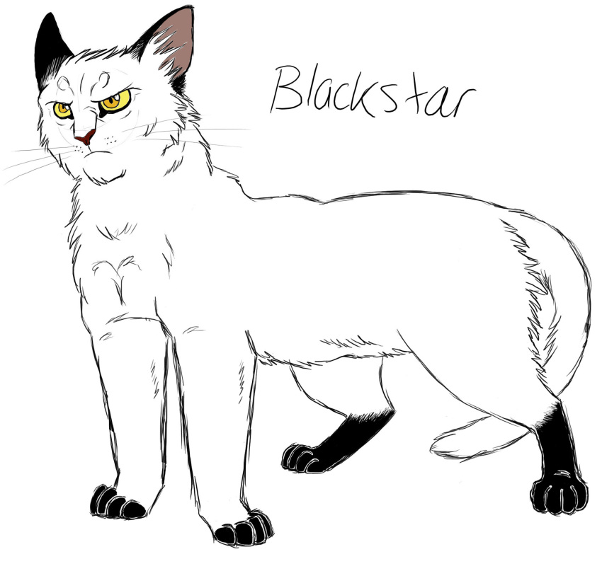 2010 ambiguous_gender black_body black_fur blackstar_(warriors) character_name digital_drawing_(artwork) digital_media_(artwork) domestic_cat english_text feet felid feline felis feral flat_colors frown fur graystripe64 hi_res male_(lore) mammal markings multicolored_body multicolored_fur paws quadruped simple_background solo spot_color standing tail text two_tone_body two_tone_fur warriors_(book_series) whiskers white_background white_body white_fur yellow_eyes