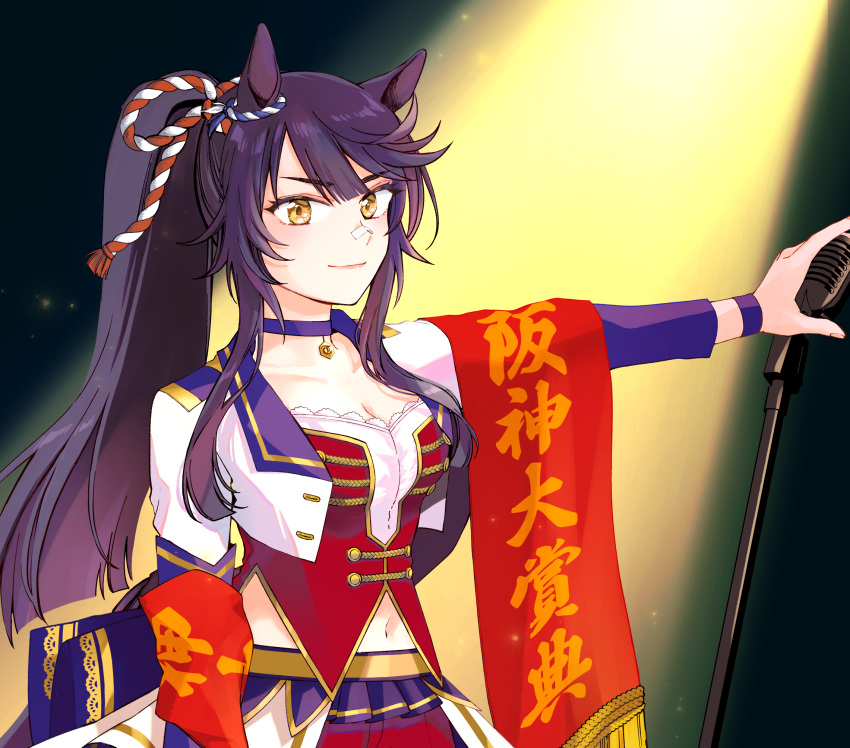 1girl animal_ears arm_at_side bandaid bandaid_on_face bandaid_on_nose black_hair breasts cleavage closed_mouth ear_ornament highres holding holding_microphone_stand horse_ears long_hair long_sleeves looking_at_viewer microphone microphone_stand narita_brian_(umamusume) navel outstretched_arm pendant_choker ponytail red_shorts red_vest rope shimenawa shirt shorts skirt small_breasts smile solo spotlight standing umamusume upper_body vest white_shirt white_skirt wristband yellow_eyes yonu_(yonurime)