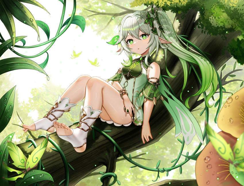 1girl absurdres ass bangs bare_shoulders blurry bracelet bracer cape colored_tips commentary_request cross-shaped_pupils crystalfly_(genshin_impact) day depth_of_field detached_sleeves dress feet full_body genshin_impact gold_trim gradient_hair green_eyes grey_hair hair_ornament highres in_tree jewelry leaf_hair_ornament legs long_hair looking_at_viewer melreon multicolored_hair nahida_(genshin_impact) nature no_shoes outdoors parted_lips plant pointy_ears revision short_dress short_sleeves side_ponytail sidelocks sitting sitting_in_tree sitting_on_branch socks soles solo stirrup_legwear symbol-shaped_pupils thighs toeless_legwear toes tree two-tone_hair vines white_dress white_hair white_socks