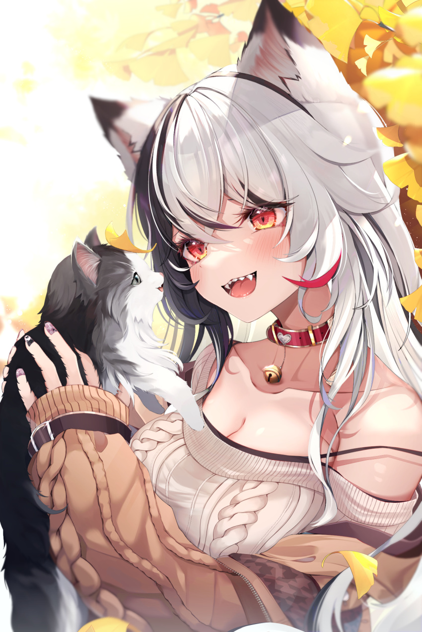 1girl :d animal animal_ears aran_sweater autumn bangs bare_shoulders bell black_hair black_nails breasts brown_jacket cat cat_ears cleavage collar collarbone commentary_request eye_contact ginkgo_leaf grey_eyes grey_hair grey_sweater hair_between_eyes highres holding holding_animal jacket jingle_bell leaf long_sleeves looking_at_another medium_breasts multicolored_hair nail_polish neck_bell off-shoulder_sweater off_shoulder open_clothes open_jacket original profile puffy_long_sleeves puffy_sleeves purple_nails red_collar red_eyes sharp_teeth shiira_(nya_rl) sleeves_past_wrists smile solo sweater teeth two-tone_hair upper_body