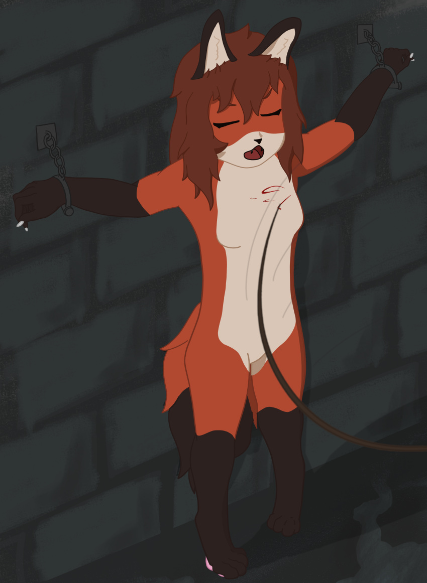 absurd_res anthro bdsm blood blood_splatter blue_eyes blue_outfit bodily_fluids bondage bound brown_hair canid canine chain chained cuff_(restraint) dungeon female fox fur hair hi_res lleoraum mammal nude orange_body orange_fur red_fox restraints shackles solo standing whip whipping white_body white_fur yuiyue_(lleoraum)
