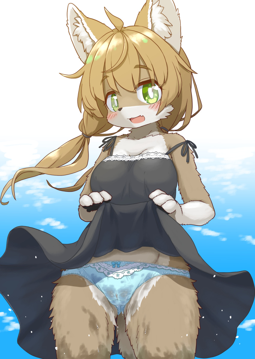 2022 4_fingers accessory ahoge anthro black_nose blue_clothing blue_panties blue_underwear blush breasts brown_body brown_fur brown_hair butt_from_the_front camel_toe canid canine canis claws clothed clothing clothing_lift cloud countershading cute_fangs day digital_media_(artwork) dress dress_lift female female_anthro finger_claws fingers fluffy frilly frilly_clothing frilly_panties frilly_underwear fur genital_outline green_eyes hair hair_accessory happy hi_res kemono koorinezumi looking_at_viewer mammal multicolored_body multicolored_fur open_mouth open_smile panties portrait presenting_panties pussy_outline sky smile smiling_at_viewer solo three-quarter_portrait tongue translated_description translucent translucent_clothing two_tone_body two_tone_fur underwear water wet wet_body wet_clothing wet_fur wet_panties wet_underwear white_body white_fur wolf