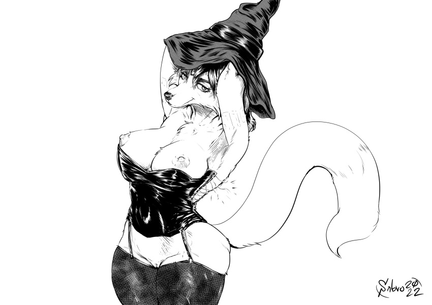 breasts canid canine clothing female fox genitals hi_res krystal magic_user mammal monochrome nintendo nipples pussy sabrotiger solor star_fox video_games wardrobe_malfunction witch