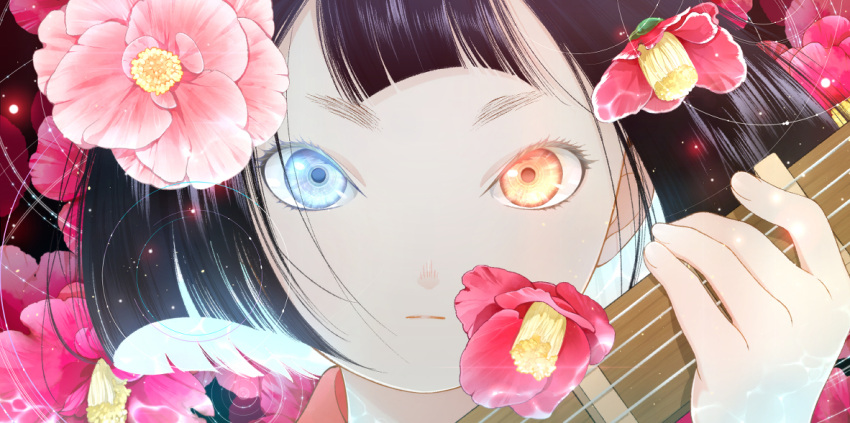 1girl bangs biwa_(heike_monogatari) biwa_lute black_hair blue_eyes bob_cut child close-up closed_mouth eyelashes feathers female_child floating_hair flower flower_request hair_flower hair_ornament hand_up heike_monogatari heterochromia holding holding_instrument instrument light_particles looking_at_viewer lute_(instrument) mochikin_(jijijin) name_connection object_namesake orange_eyes portrait red_flower short_hair solo straight-on string