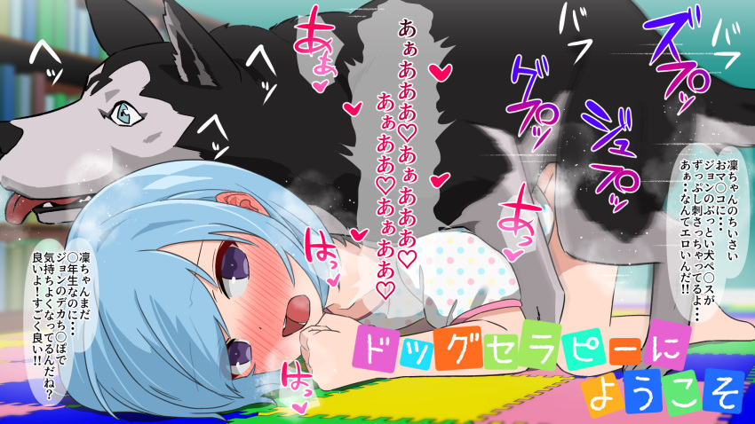1girl bestiality blue_hair blush buta_otoko dog doggystyle highres looking_at_viewer open_mouth original paid_reward_available partially_translated polka_dot polka_dot_shirt purple_eyes sex shirt solo top-down_bottom-up translation_request white_shirt
