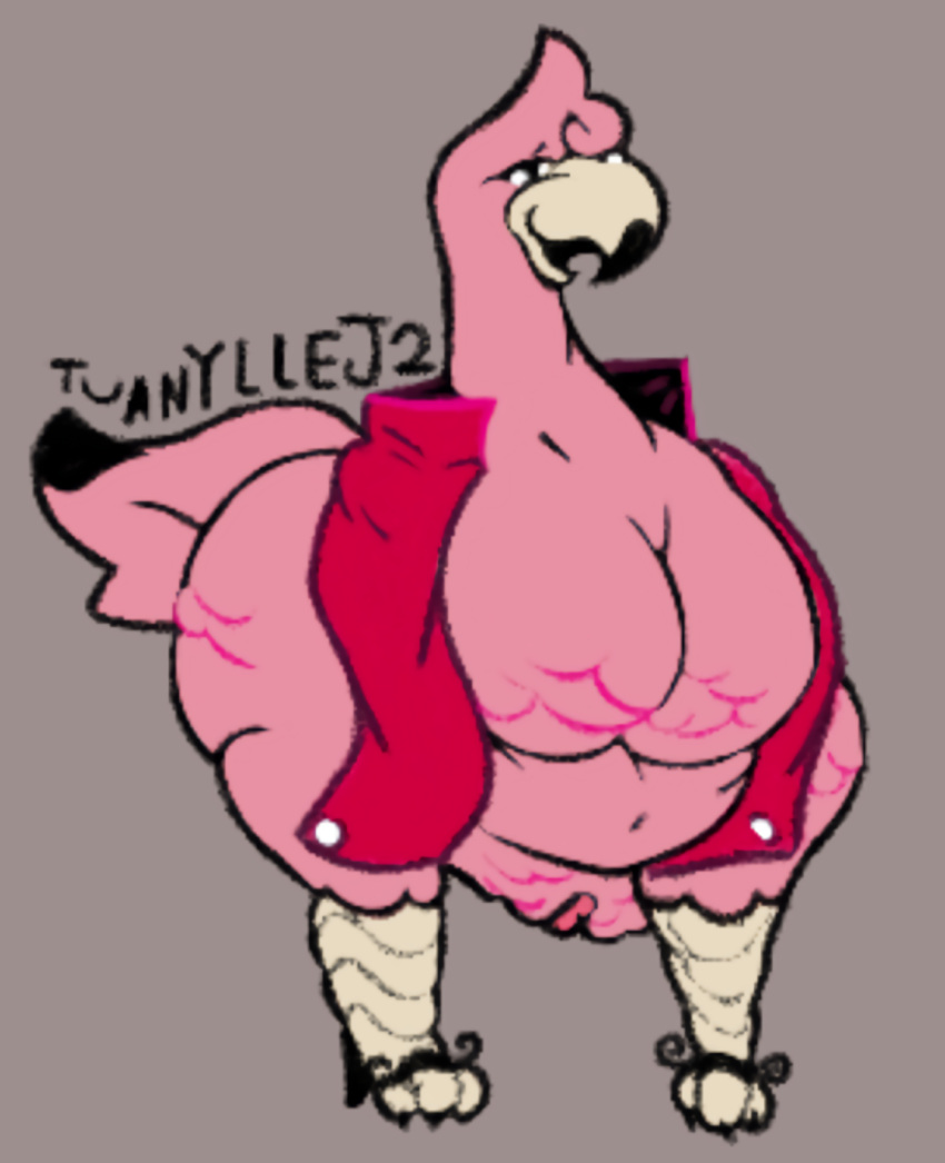 2022 avian beak belly big_breasts bird breasts busty_feral clothed clothing dot_eyes feathers featureless_breasts female feral flamingo footwear genitals hi_res high_heels huge_breasts jacket long_neck narrowed_eyes non-mammal_breasts nude open_mouth partially_clothed pink_body pink_feathers pussy red_clothing semi-anthro simple_background smile solo tail_feathers thick_thighs topwear tuanyllej2 watermark wide_hips