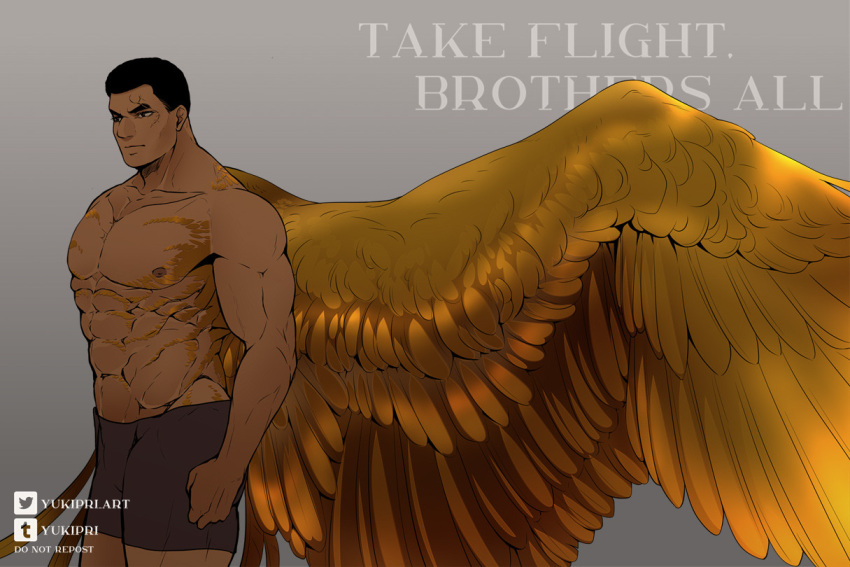 3:2 abs black_hair brown_eyes clothing cody_(star_wars) english_text feathers golden_wings gradient_background hair humanoid looking_aside male muscular muscular_male nipples not_furry simple_background solo text underwear watermark wing_muscles winged_humanoid wings yukipri