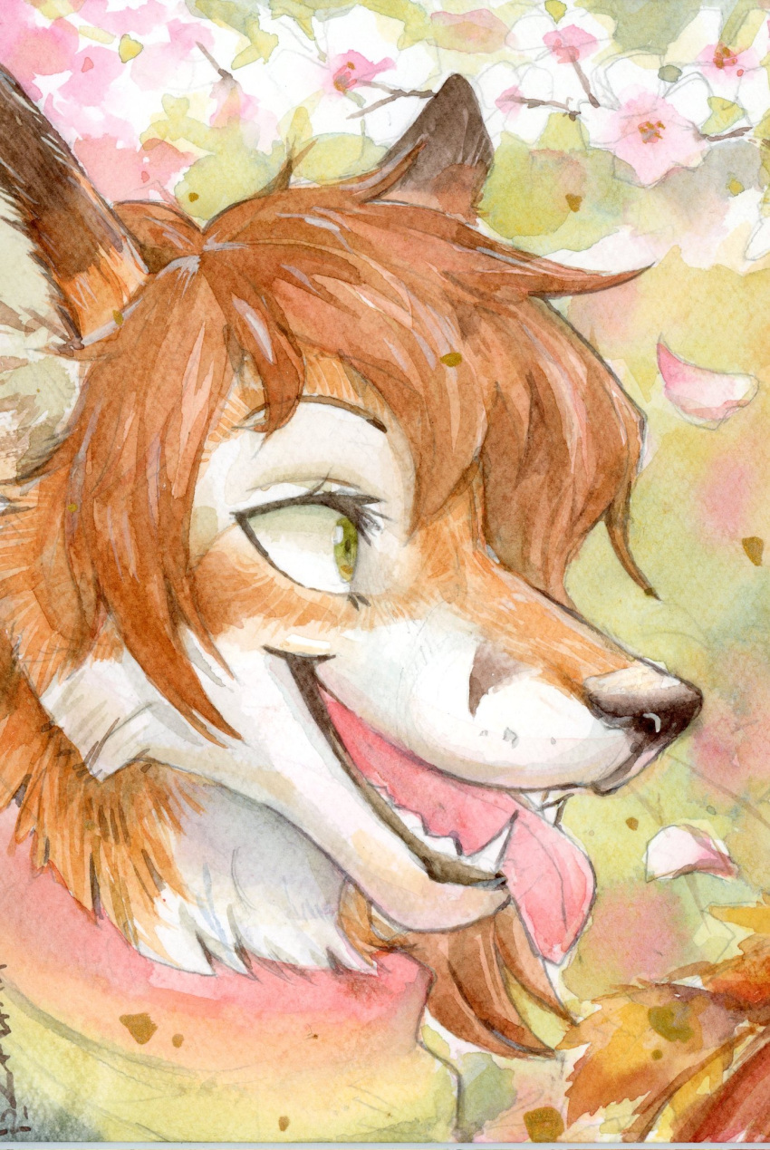 akatan_art anthro black_nose canid cheek_tuft facial_tuft fangs female floral_background fur glistening glistening_eyes green_eyes hair happy hi_res mammal multicolored_scarf neck_tuft open_mouth open_smile orange_body orange_fur orange_hair pink_tongue rainbow_scarf scarf short_hair side_view signature smile solo tongue tongue_out tuft white_body white_fur