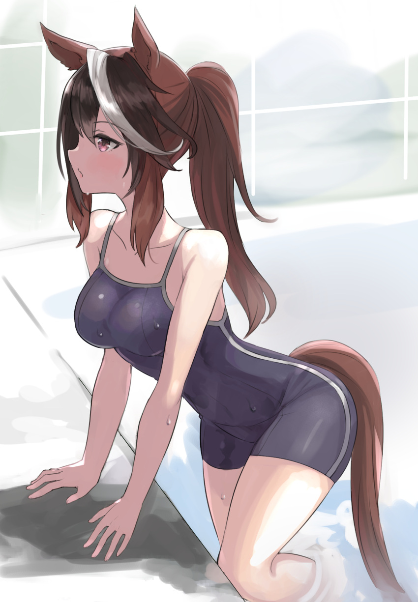 1girl :/ animal_ears arm_support bangs black_hair blue_one-piece_swimsuit breasts brown_hair collarbone competition_school_swimsuit from_side hair_between_eyes high_ponytail highres horse_ears horse_girl horse_tail kusanagi_kaoru leaning_forward light_blush long_hair looking_afar medium_breasts multicolored_hair one-piece_swimsuit pink_eyes ponytail pool poolside profile school_swimsuit shadow sidelocks single_vertical_stripe solo streaked_hair swimsuit symboli_rudolf_(umamusume) tail tail_through_clothes thighs tracen_swimsuit umamusume wading water wet wet_clothes wet_swimsuit white_hair