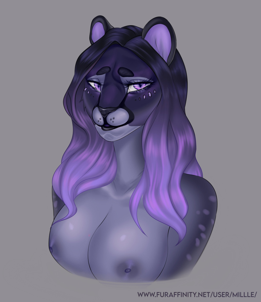 2021 absurd_res anthro breasts bust_portrait digital_media_(artwork) felid female fur gradient_hair grey_background hair hi_res jaguar looking_at_viewer mammal millle nipples pantherine portrait purple_eyes purple_hair purple_nipples simple_background solo text url