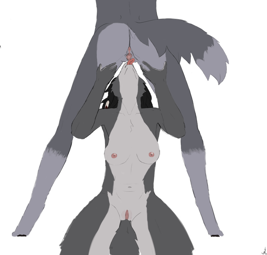 absurd_res anthro black_hair canid canine canis cunnilingus duo esprit feathers female female/female fur genitals grey_body grey_fur grey_tail hair hi_res jensca mammal oral pussy seff_(character) sex sitting spread_pussy spreading standing standing_sex vaginal wolf