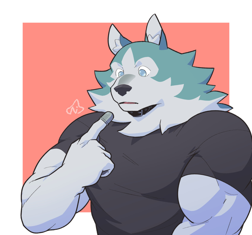 absurd_res anthro biceps black_clothing blue_body blue_fur brand_new_animal canid canine canis clothed clothing collar eyes_closed fur hi_res inner_ear_fluff male mammal muscular muscular_anthro muscular_male ni_draw shirou_ogami solo studio_trigger topwear tuft white_body wolf