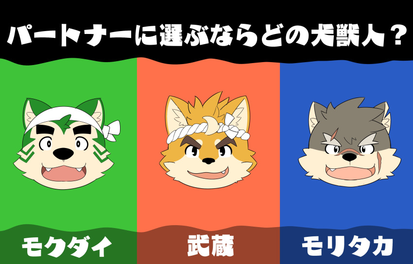 absurd_res accessory amidasuke anthro bandanna canid canine canis crossover domestic_dog eyebrows fur green_body green_fur grey_body grey_fur group headband hi_res japanese_text kerchief lifewonders live-a-hero male mammal mokdai moritaka musashi_(tamacolle) nintendo orange_body orange_fur scar splatfest splatoon tamacolle text thick_eyebrows tokyo_afterschool_summoners trio video_games