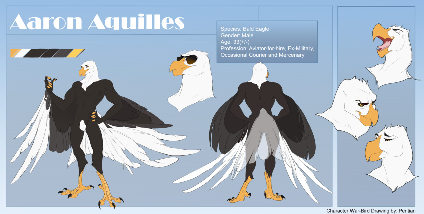 aaron_(war-bird) absurd_res accipitrid accipitriform anthro avian bald_eagle beak bird black_sclera eagle eyebrows feathers hi_res male model_sheet muscular muscular_male nude partial_nudity peritian sea_eagle solo tail_feathers talon_hands talons war-bird wings