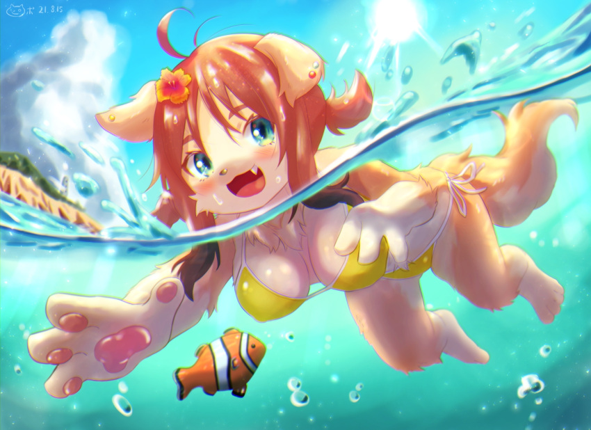 4_fingers accessory ahoge anthro bikini blue_eyes breasts brown_hair canid canine canis cheek_tuft chromatic_aberration clothing clownfish dated day domestic_dog ear_piercing ear_ring facial_tuft fangs female fingers fish flower flower_in_hair fur hair hair_accessory kemono looking_at_viewer mammal marine medium_breasts open_mouth outside partially_submerged pawpads piercing pigtails piporinton plant pomacentrid ring_piercing sea sidelocks solo sun swimming swimwear tan_body tan_fur tuft water yellow_bikini yellow_clothing yellow_swimwear