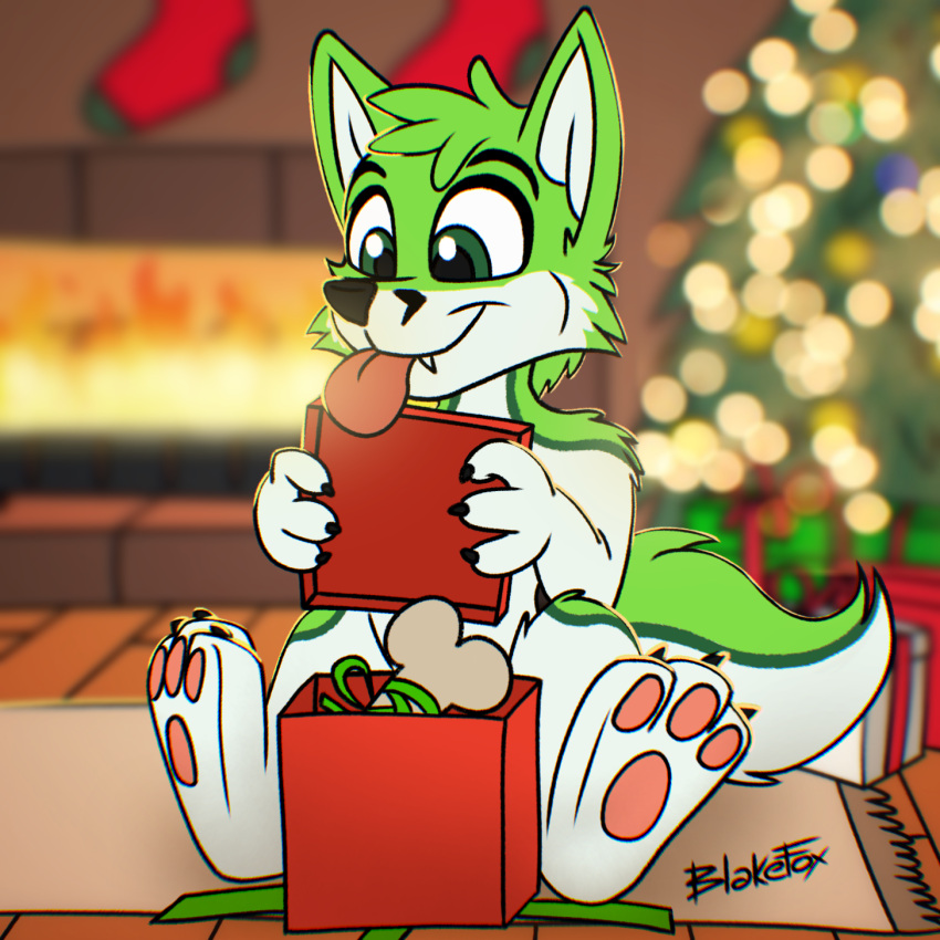 anthro black_nose blakefox blurred_background bone canid canine christmas christmas_clothing christmas_headwear christmas_lights christmas_tree clothed clothing digital_media_(artwork) fidget_the_fox fire fireplace fox fur gift green_body green_eyes green_fur hair headgear headwear hi_res holidays legwear male mammal pawpads pink_pawpads plant signature smile solo stockings tongue tongue_out tree white_body white_fur
