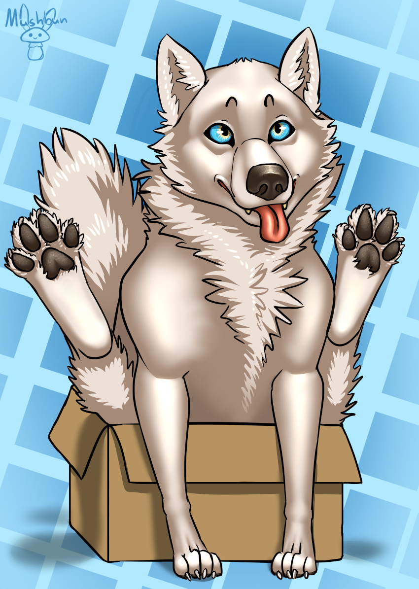 2021 absurd_res ambiguous_gender black_nose black_pawpads blue_background blue_eyes box canid canine canis cardboard cardboard_box cheek_tuft claws container digitigrade facial_tuft feet feral fluffy fluffy_tail full-length_portrait fur geometric_background hi_res in_box in_container legs_up male_(lore) mammal mushbun neck_tuft pattern_background pawpads portrait silly simple_background sitting snout soles solo tongue tongue_out tuft white_body white_claws white_fur wolf wolfeman