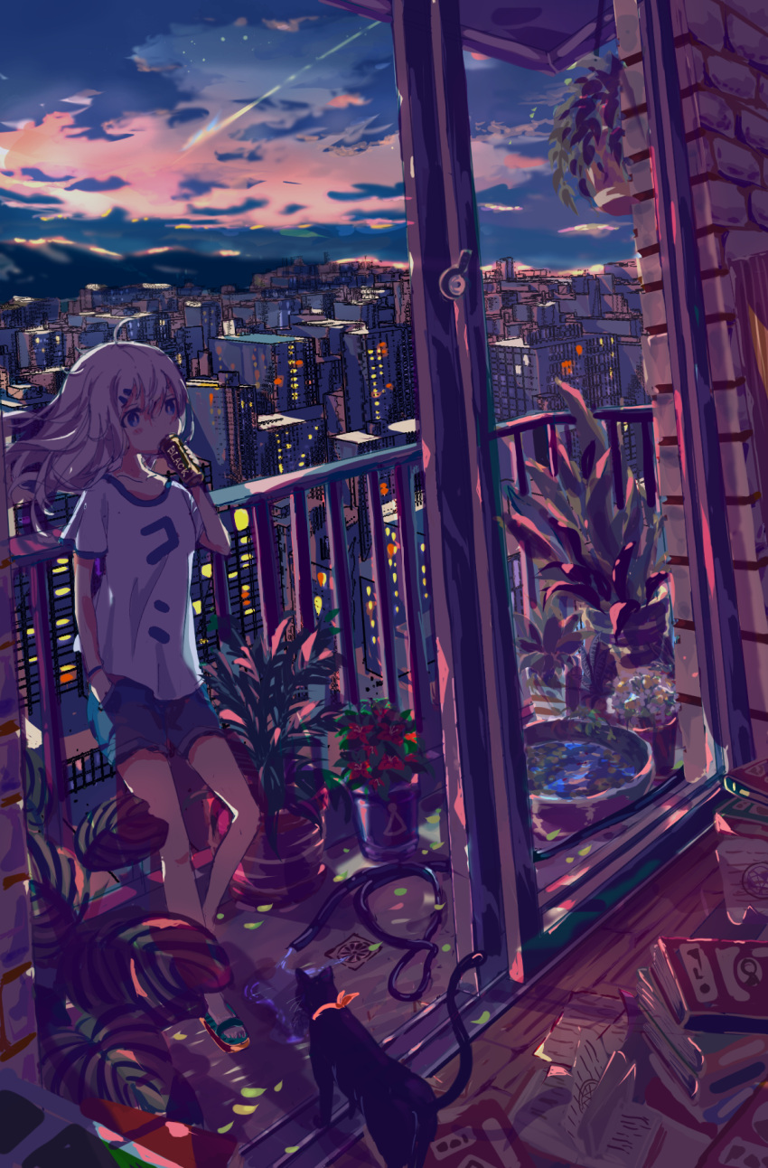 1girl ahoge balcony black_cat blue_shorts blush book book_stack building c4_art can canned_coffee cat city cityscape cloud commentary drinking evening flower full_body hair_between_eyes highres holding holding_can hose indoors long_hair looking_at_viewer original plant potted_plant railing red_flower scenery shirt shooting_star shorts skyscraper sliding_doors solo standing t-shirt twilight water white_hair white_shirt