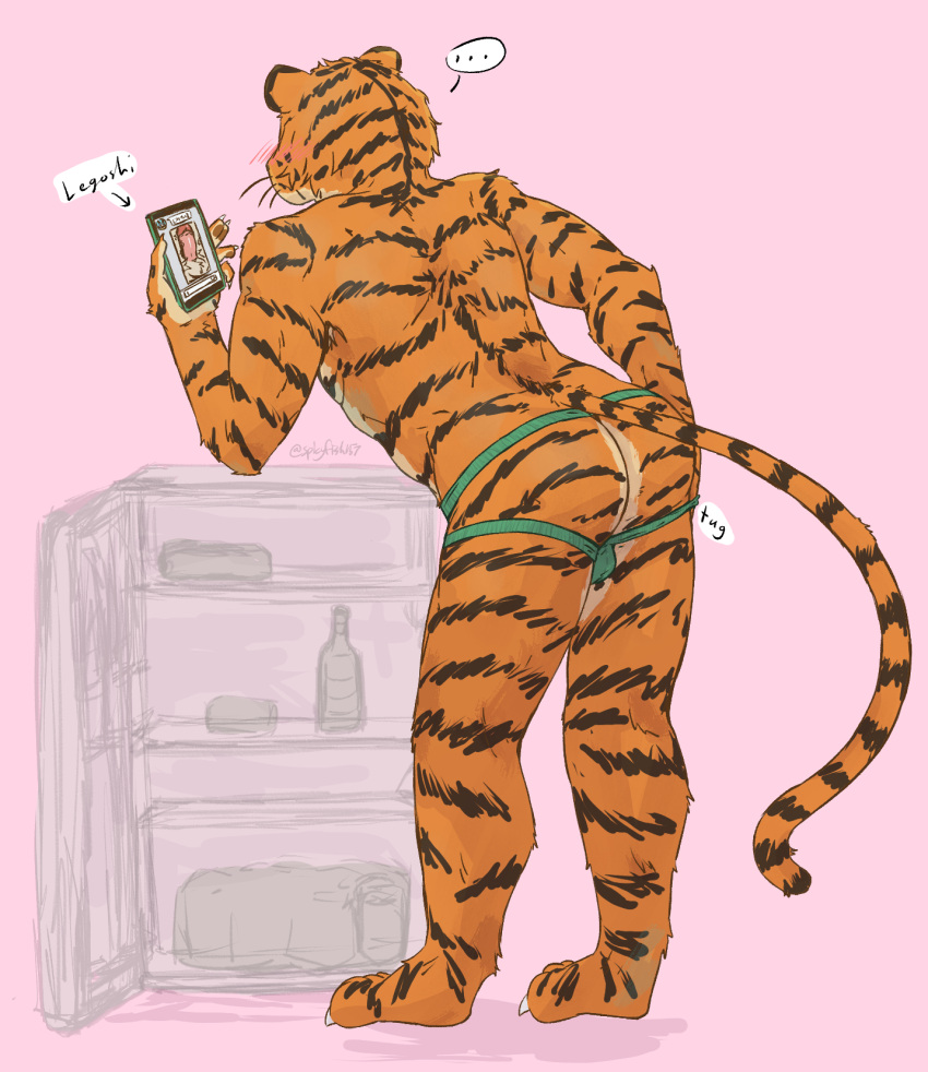 alcohol animal_humanoid anthro back_muscles backsack balls beastars beer beer_bottle bengal_tiger beverage beverage_can biceps bill_(beastars) blush bottle bottomwear bulge butt canid canine canis clothed clothing digital_media_(artwork) duo english_text erection felid felid_humanoid fur genitals green_bottomwear green_clothing hi_res holding_object holding_phone horny humanoid jockstrap leaning leaning_forward leaning_on_object leg_markings legoshi_(beastars) male male/male mammal mammal_humanoid markings muscular orange_body orange_fur pantherine partially_clothed paws penis phone phone_screen phone_sex presenting presenting_balls presenting_hindquarters presenting_penis pulling_underwear rear_view removing_underwear sexting simple_background solo spicyfish157 striped_body striped_fur stripes tan_body tan_fur text texting thigh_markings tiger topless topless_anthro topless_humanoid topless_male underwear undressing wolf