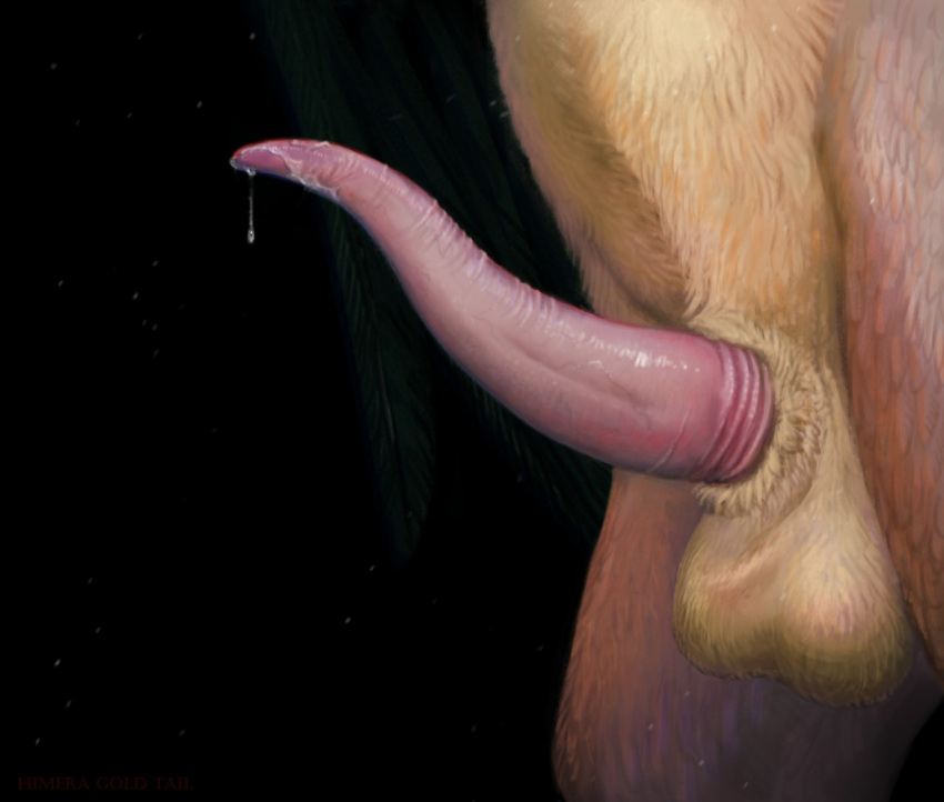 accipitrid accipitriform anthro avian balls bearded_vulture bird blue_background bodily_fluids dripping erection faceless_anthro faceless_character faceless_male fur genital_fluids genitals glistening glistening_genitalia glistening_penis himeragoldtail male old_world_vulture penis penis_focus pink_penis precum precum_drip simple_background solo tan_balls tan_body tan_fur tapering_penis three-quarter_view valodec vulture wrinkles
