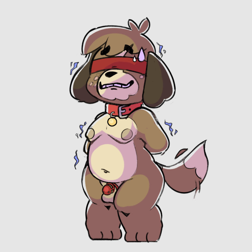 2022 3_toes animal_crossing anthro balls belly blindfold bodily_fluids brown_body brown_fur canid canine canis chastity_cage chastity_device collar digby_(animal_crossing) digital_drawing_(artwork) digital_media_(artwork) dipstick_tail domestic_dog feet fur genitals hi_res male mammal markings mostly_nude multicolored_body multicolored_fur nervous nintendo nipples penis petplay red_blindfold red_collar roleplay shaking shivering simple_background slightly_chubby solo standing strawbearer sweat tail_markings toes toony video_games