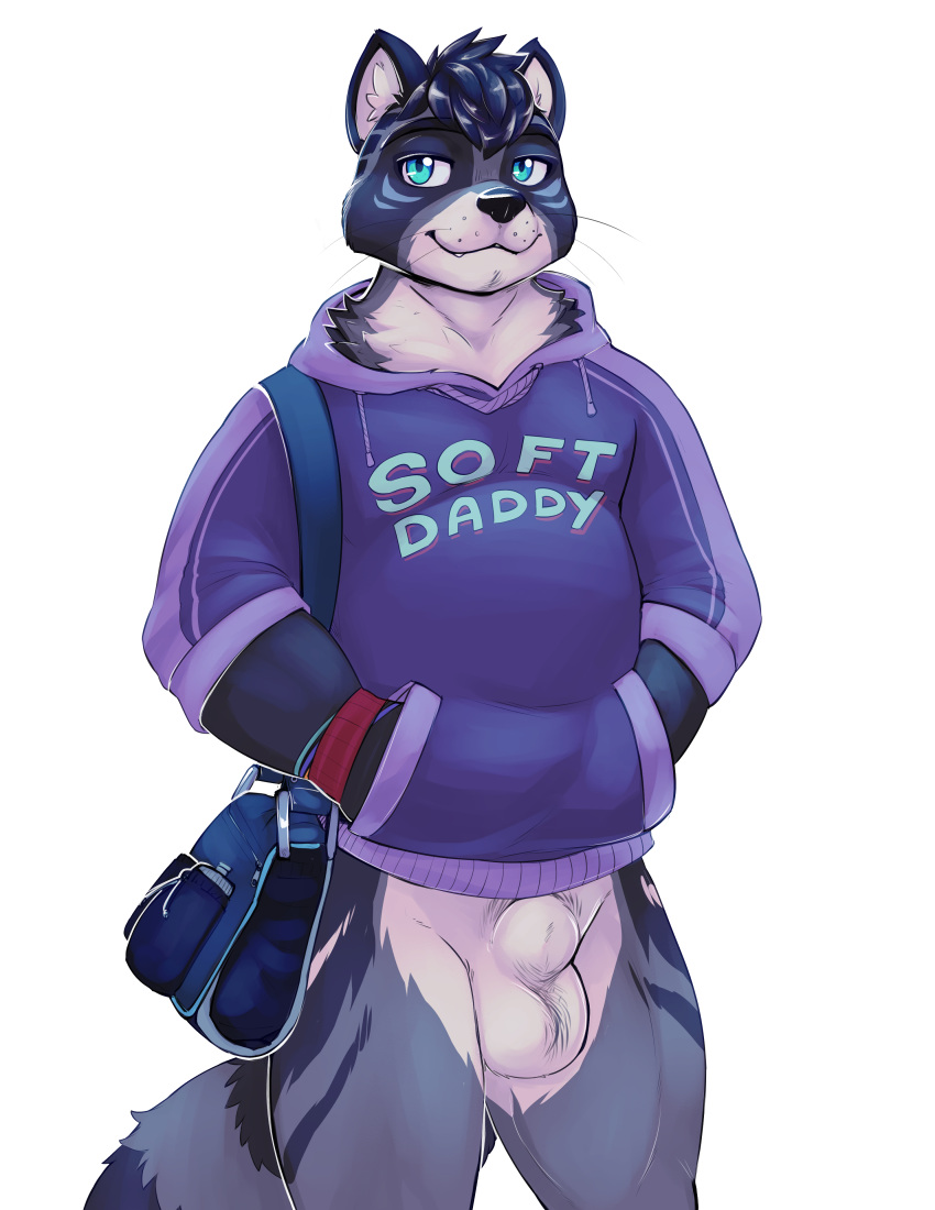 absurd_res anthro balls bastionshadowpaw bottomless clothed clothing digital_media_(artwork) fur genitals hair hi_res looking_at_viewer male mammal penis procyonid raccoon simple_background slightly_chubby smile solo